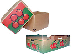 Prima 2000 jablká, hrušky, slivky, vývoz ovocia, zelenina 14